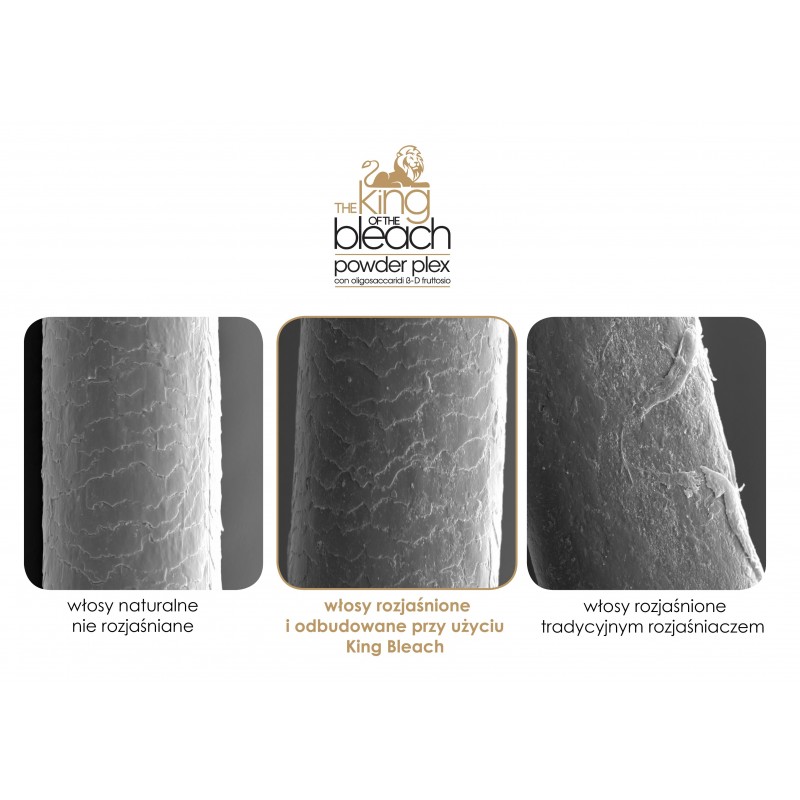 Trendy Hair King Bleach Powder Plex 500g - obrazek 3